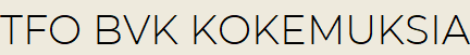 Tfo bvk kokemuksia